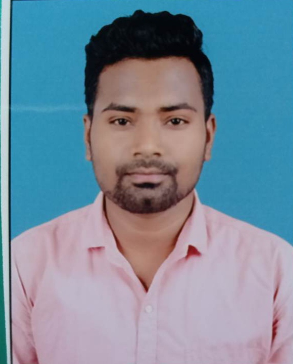 MR.  MADHAV MALIK  - Naveen Government College Chilhati C.G.